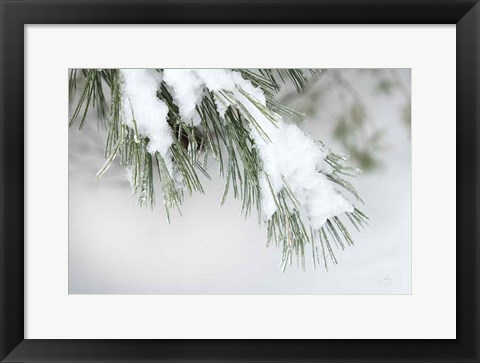 Framed Snowy Bough Print