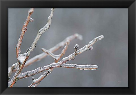 Framed Glistening Branches II Print