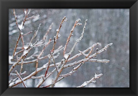 Framed Glistening Branches I Print