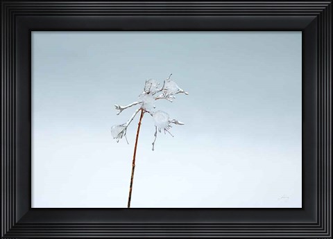 Framed Diamonds in Winter II Print