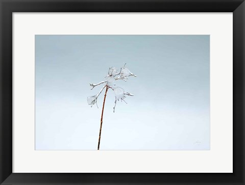 Framed Diamonds in Winter II Print