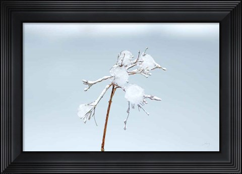 Framed Diamonds in Winter I Print