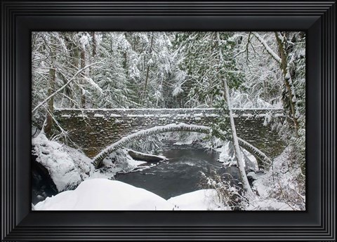 Framed Whatcom Creek Bridge Print