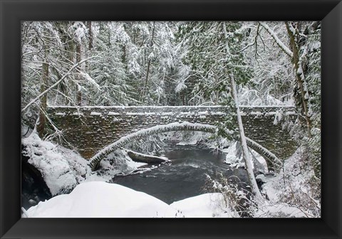 Framed Whatcom Creek Bridge Print