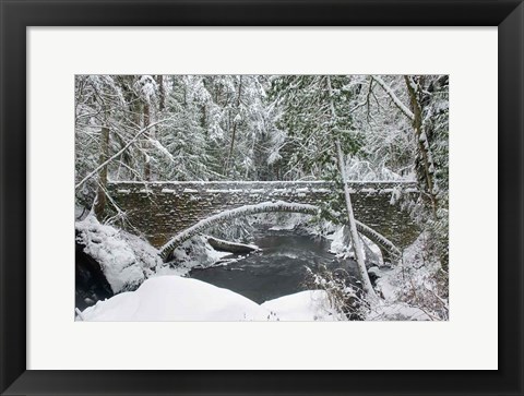 Framed Whatcom Creek Bridge Print