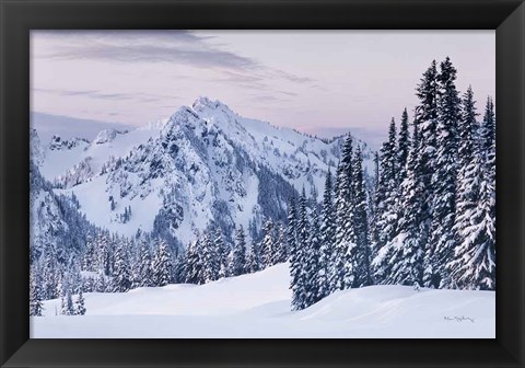 Framed Tatoosh Range Print