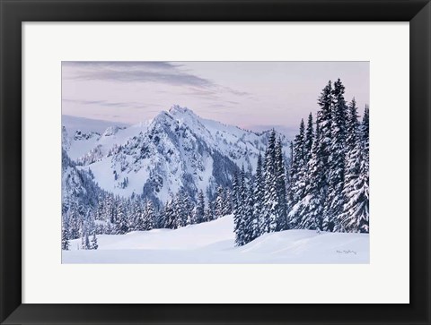 Framed Tatoosh Range Print