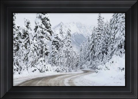 Framed Mount Baker Highway I Print