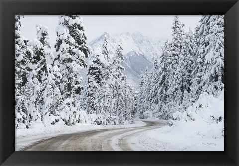 Framed Mount Baker Highway I Print