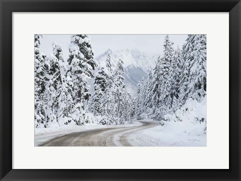 Framed Mount Baker Highway I Print