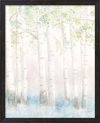 Framed Soft Birches III Print