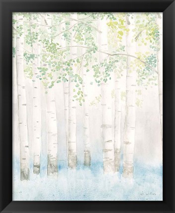 Framed Soft Birches II Print