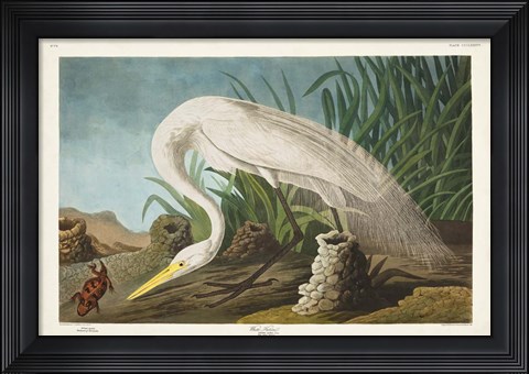 Framed Pl 386 White Heron Print