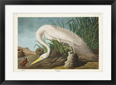 Framed Pl 386 White Heron Print