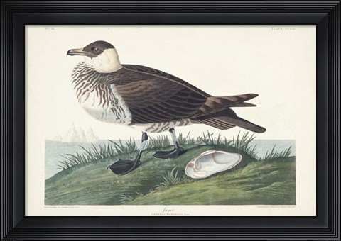 Framed Pl 253 Jager Print