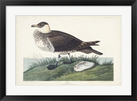 Framed Pl 253 Jager Print