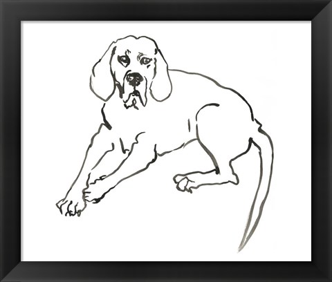 Framed Dog III Print