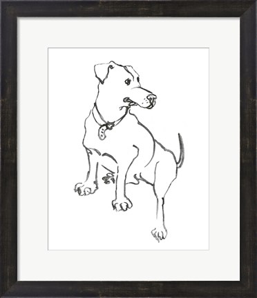 Framed Dog IV Print