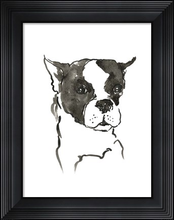 Framed Dog V Print