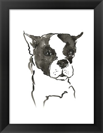 Framed Dog V Print