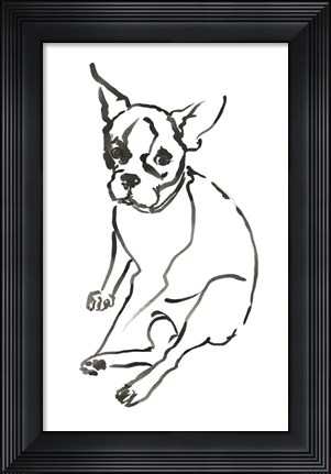 Framed Dog VI Print