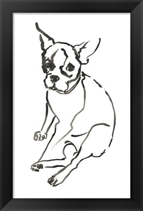 Framed Dog VI Print