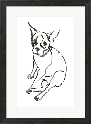Framed Dog VI Print