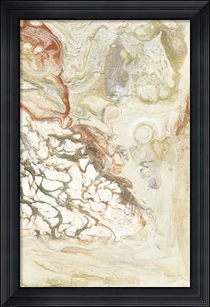 Framed Coral &amp; Alabaster II Print