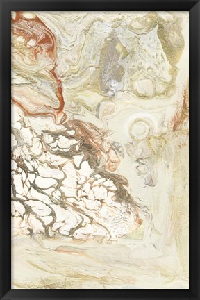 Framed Coral &amp; Alabaster II Print