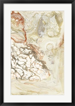 Framed Coral &amp; Alabaster II Print