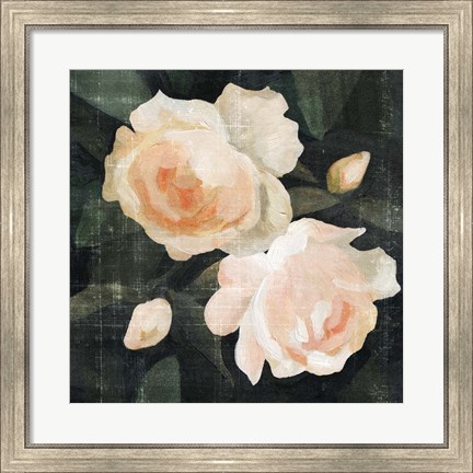 Framed Soft Garden Roses I Print
