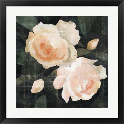 Framed Soft Garden Roses I Print