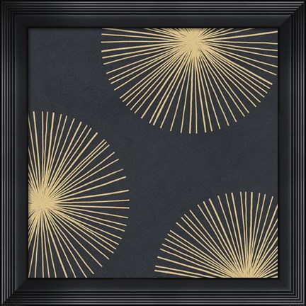 Framed Bursts II Print