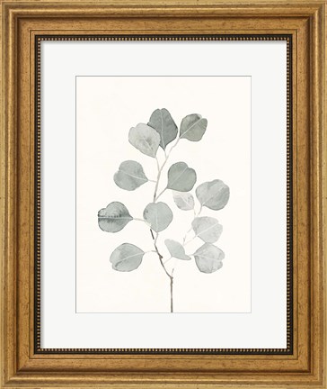 Framed Delicate Sage Botanical I Print