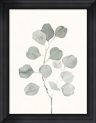 Framed Delicate Sage Botanical I Print