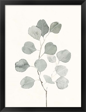 Framed Delicate Sage Botanical I Print