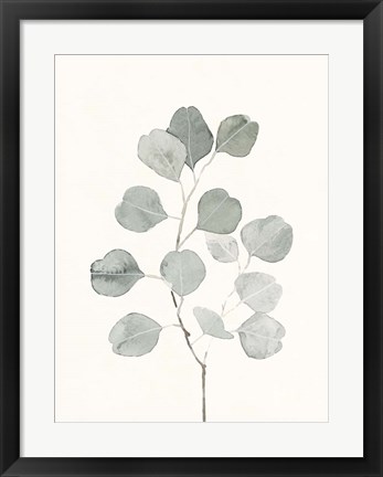 Framed Delicate Sage Botanical I Print