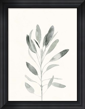 Framed Delicate Sage Botanical II Print