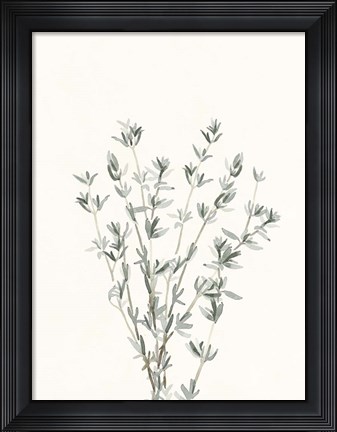 Framed Delicate Sage Botanical III Print