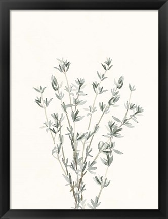 Framed Delicate Sage Botanical III Print