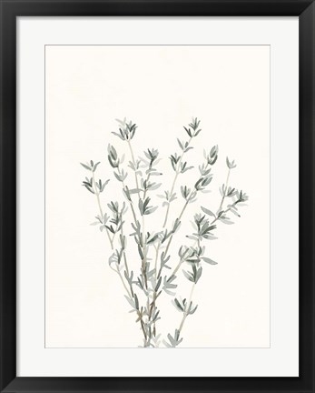 Framed Delicate Sage Botanical III Print