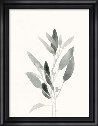 Framed Delicate Sage Botanical IV Print