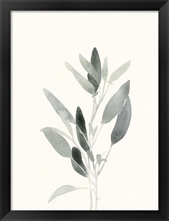 Framed Delicate Sage Botanical IV Print