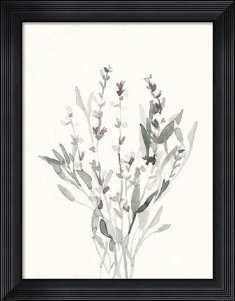 Framed Delicate Sage Botanical V Print