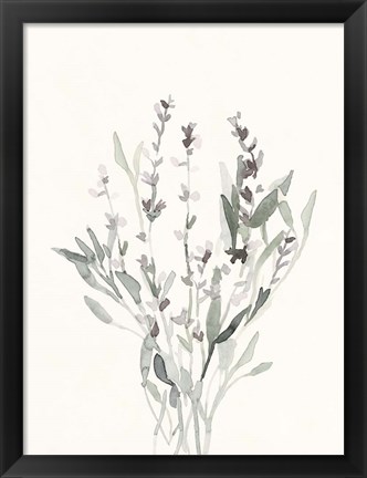 Framed Delicate Sage Botanical V Print