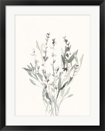 Framed Delicate Sage Botanical V Print