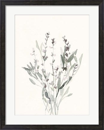 Framed Delicate Sage Botanical V Print