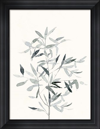 Framed Delicate Sage Botanical VI Print