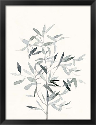 Framed Delicate Sage Botanical VI Print