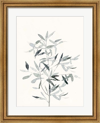 Framed Delicate Sage Botanical VI Print